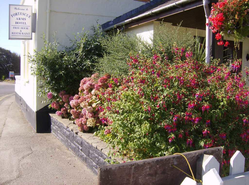 Fortescue Arms Woolacombe Eksteriør bilde